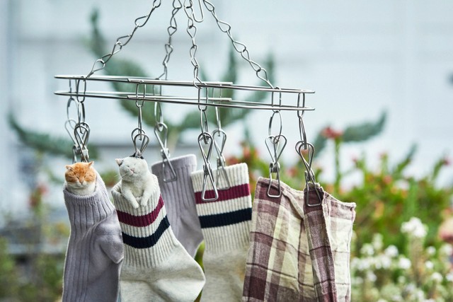 洗濯して干された靴下の中にもぐってみたり