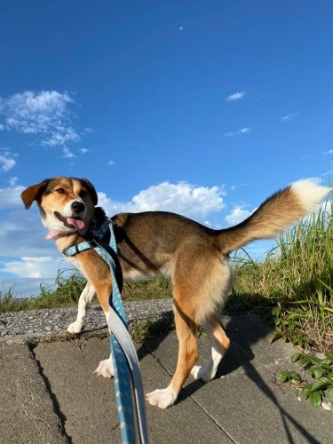 お外はやっぱり気持ちがいい　（甲田さん提供）