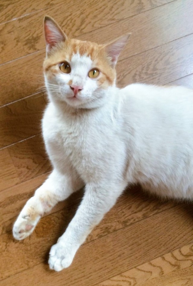 完全に自分ちじゃんよ…（ハナさん提供）