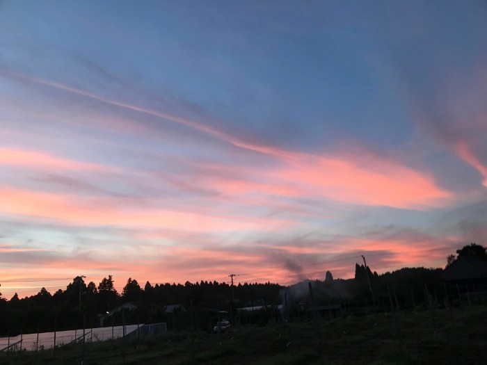 季節の移り変わりを肌で感じます