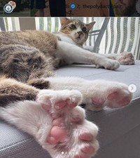 ギネス記録のインスタグラム＠guinnessworldrecordsより