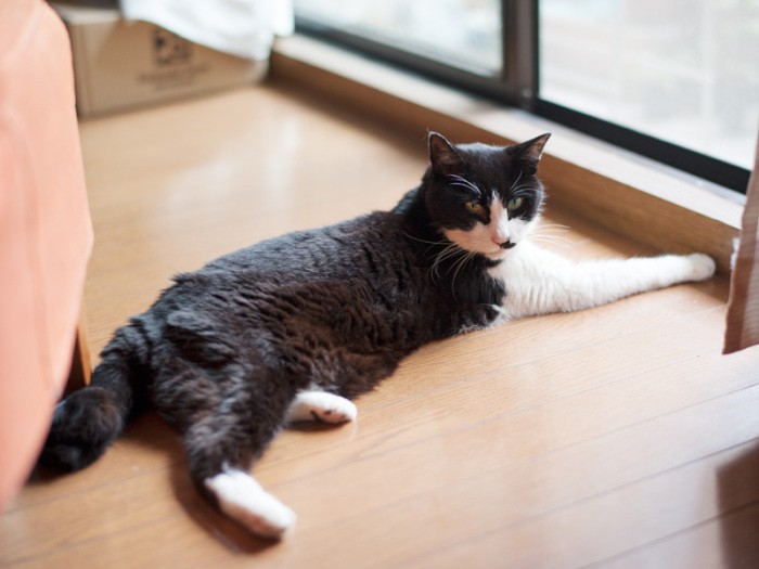 「おじちゃんは冷えるとすぐにおなかをこわすから、ぼくのまねはしないって」（小林写函撮影）