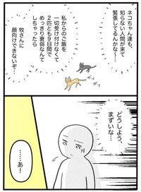 【漫画】『ネコと暮らした9日間』20（イゴカオリさん提供）