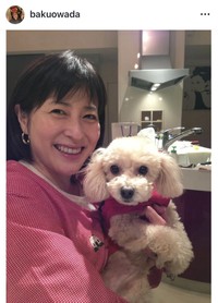 大和田獏＠bakuowadaより