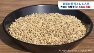 大麦の品質検査　おおむね良好な出来　宮城・石巻市