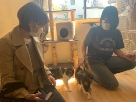 人生の一部を「社会のために」で彩ろう　好きからはじまる動物ボランティア