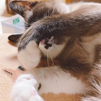 もう朝なの？まだ眠いよ～