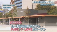 PARK T LOWE