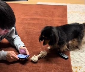 おもちゃで遊ぼうよ～～！（提供：@runtn728さん）