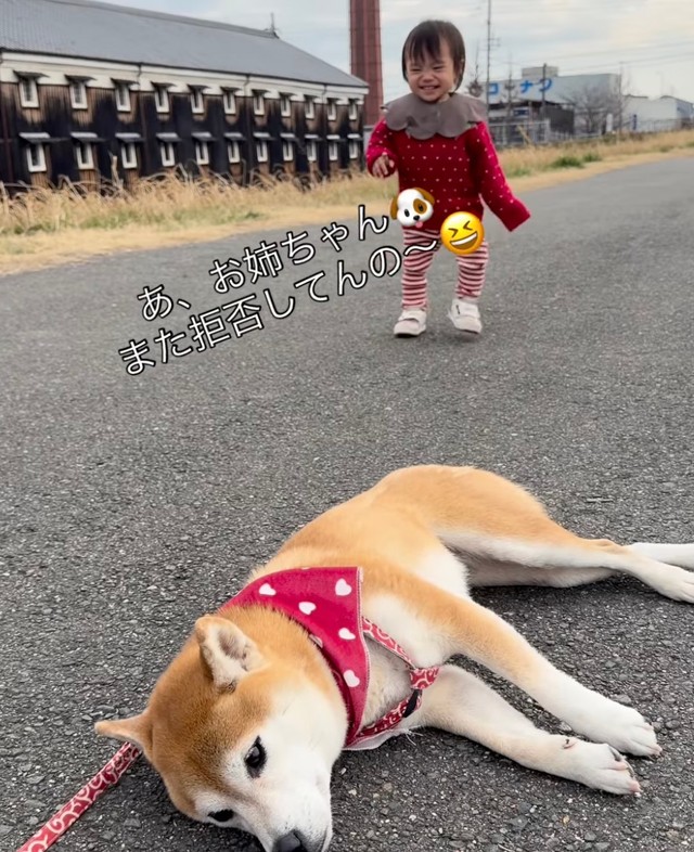 ニッコニコでお姉ちゃんのもとへ駆け寄る娘さん（提供：@shiba.tsukuneさん）