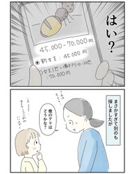 【漫画】『想像の100倍だった話』6（まめねこさん提供）