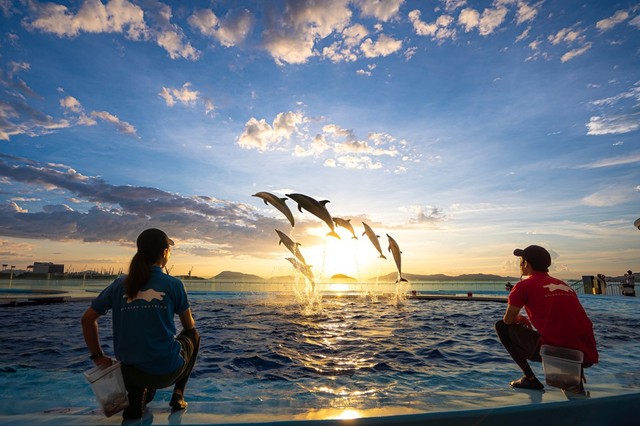 夜の水族館で特別なひとときを　四国水族館 