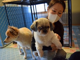 動物の幸せのため、胸にきざむ動物愛護団体としての責任　虐待からのレスキューも