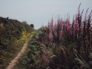 人との適切な距離感。今では悪口を言ってくれたあのおばさんに感謝