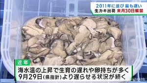宮城県産カキの品質検査　出荷開始日は１０月３０日に　震災年と並び最も遅く