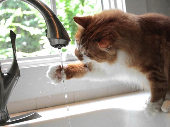 室内も涼しめに