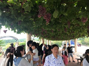 中国人の社員旅行に参加した　初めて分かった「彼らが日本人から受ける視線」