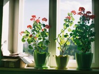 毎月新幹線で癒しのサロンに通い始めて3年。心を整える大切な習慣