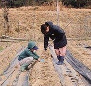 作業中の畑で寝そべっているのは…（@farm_docan）提供※画像はトリミングしています