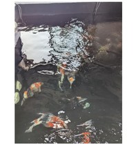 花井組のホームページより