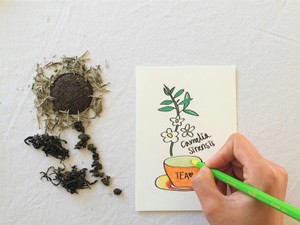 思わぬ発言から仕事が舞い込む。好きなことはどんどん口に出していく