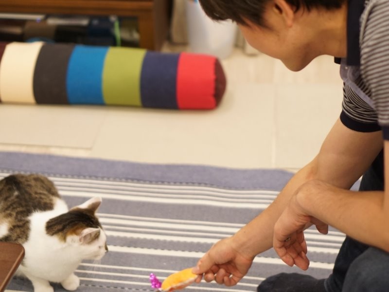 吉太と遊ぶ拓也さん「猫との生活にもだいぶ慣れました。晩酌してもらったりして楽しいです」