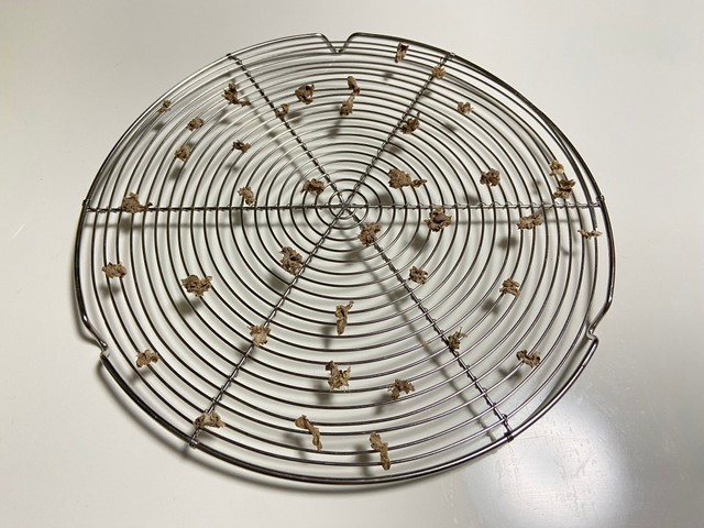 乾燥生姜を作ろうとしたら…（あいりさん提供）