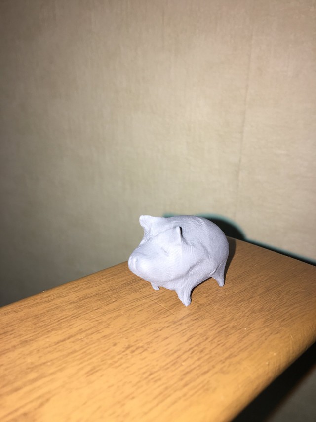 お父さんの仕業で練り消しが豚さん作品に…！(橘舞さんTwitterより)
