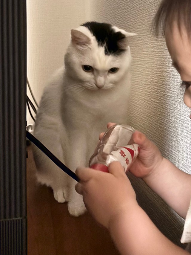 なぜか集まって塩を見る二人（提供：まつもとたけるさん）