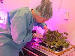 「４人前を３年分」火星に行くとき、食事はどうする？　コンペで出たアイデアがすごい