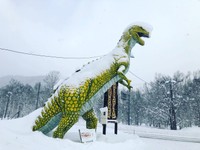 大雪をかぶったマイケル君（提供画像）