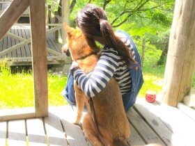 犬や猫の幸せな未来をつくるため、いま自分にできることは？　寄付を考えてみよう