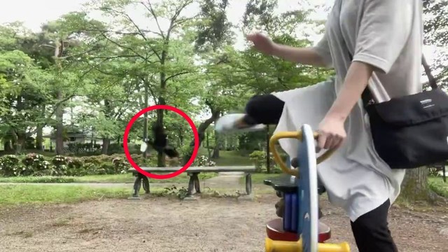 飛び去ってしまいます（赤丸の部分）。 ※人生いちかパチかさんのX動画より抜粋