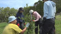 就農希望者を増やそう　小豆島で農業インターンシップ　全国から応募した大学生ら8人が参加　香川