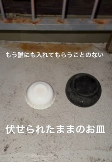 もう誰にも入れてもらうことのない伏せられたお皿（「ねころび」さん提供、Instagramよりキャプチャ撮影）