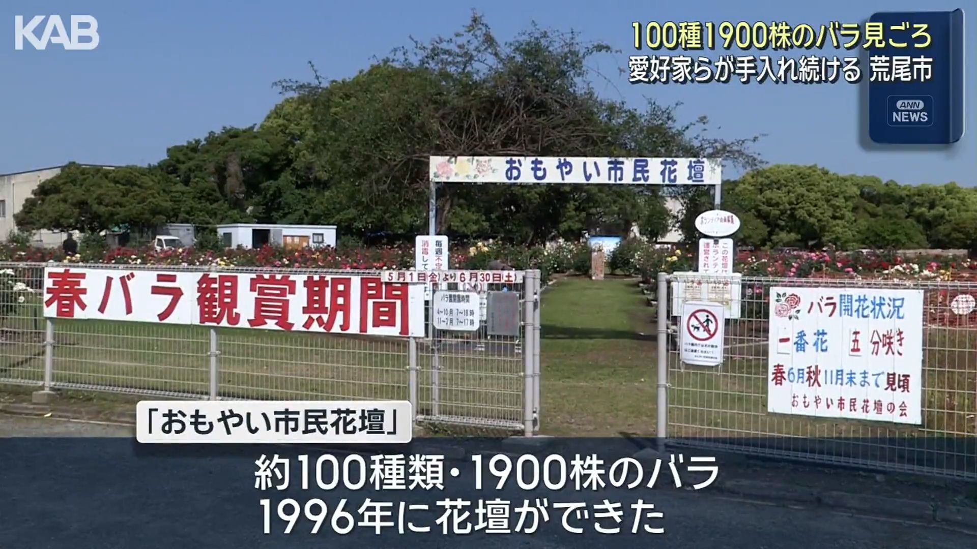 色とりどりのバラ100種が咲き誇る！30年の愛情が育む1900株が見ごろ（1
