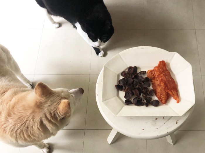 「今日はいい匂いがするね」