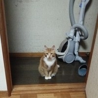 そっと投稿主さんを見守るメイちゃん／ろしあん・ぶるーさん（@eozddz7nO9JIHDr）提供