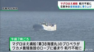 マグロはえ縄船が養殖施設に乗り上げ航行不能に　宮城・石巻市の沖合