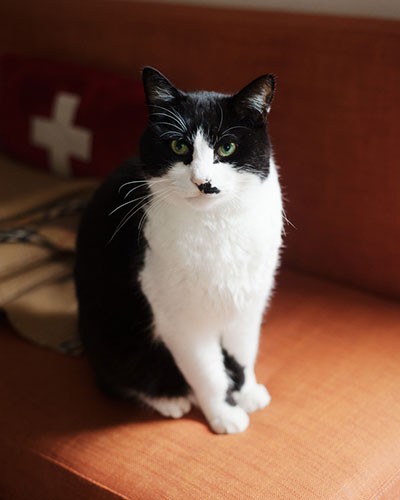 「僕って、よいこでしょ」（小林写函撮影）