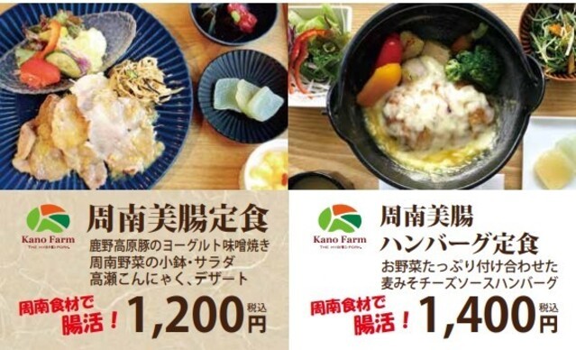 腸内細菌と食生活（上） 食物繊維が腸内細菌を多様化 バランスのとれた食事が基本