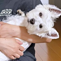 抱っこされてうっとり顔のユキちゃん（画像提供：ユキちゃんのお姉様さん）