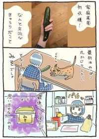 【漫画】『家庭菜園 初収穫の話』4（おべちさん提供）