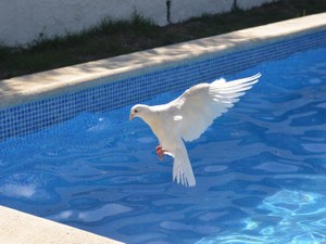 働く私の支えは、卒業しても「心配しています」と言ってくれる先生