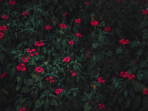 大好きな彼とのハッピーデイズは、最悪な日を迎えるための材料だった