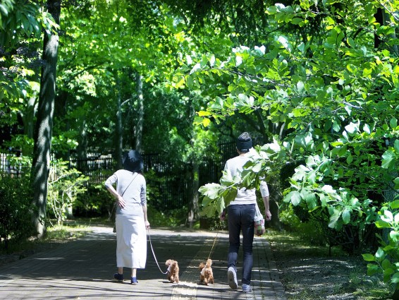 大型連休、外出予定の飼い主の７割は「ペットと一緒」　不安も…