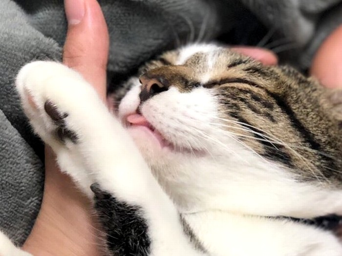 ママの腕の中でご満悦