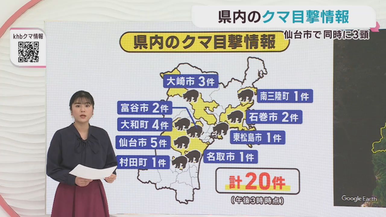 クマの目撃情報　宮城県　１０日午後３時〜１１日午後３時