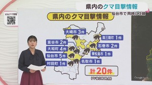 クマの目撃情報　宮城県　１０日午後３時〜１１日午後３時