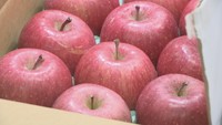 雪むろりんご　1箱2700円（9～12個入り）